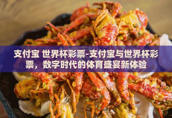 支付宝 世界杯彩票-支付宝与世界杯彩票，数字时代的体育盛宴新体验