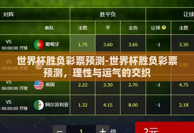 世界杯胜负彩票预测-世界杯胜负彩票预测，理性与运气的交织
