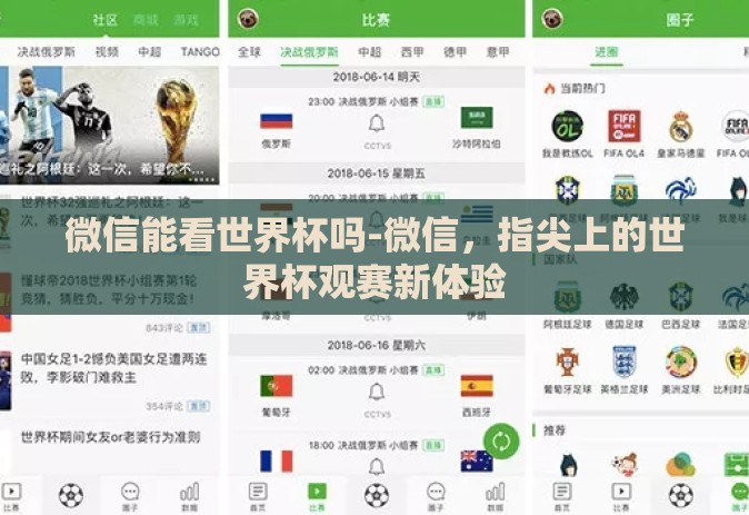微信能看世界杯吗-微信，指尖上的世界杯观赛新体验