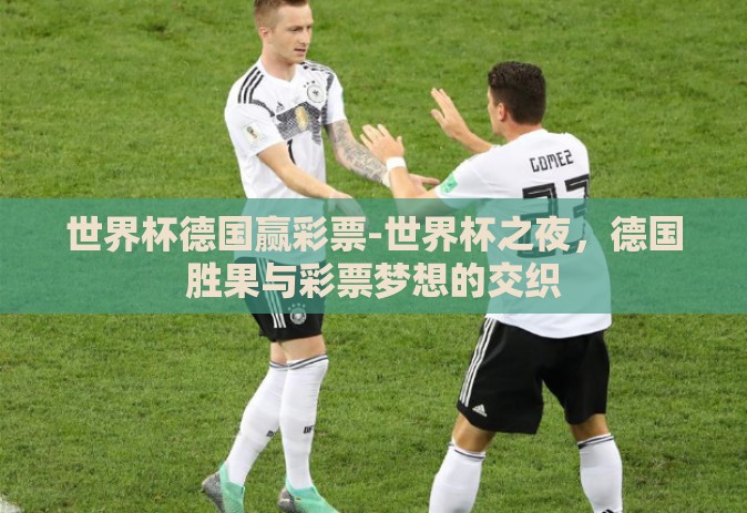 世界杯德国赢彩票-世界杯之夜，德国胜果与彩票梦想的交织