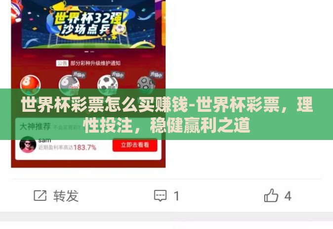 世界杯彩票怎么买赚钱-世界杯彩票，理性投注，稳健赢利之道