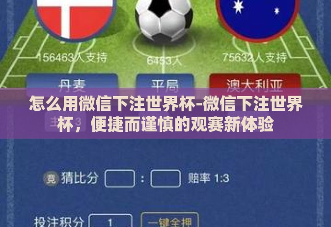 怎么用微信下注世界杯-微信下注世界杯，便捷而谨慎的观赛新体验
