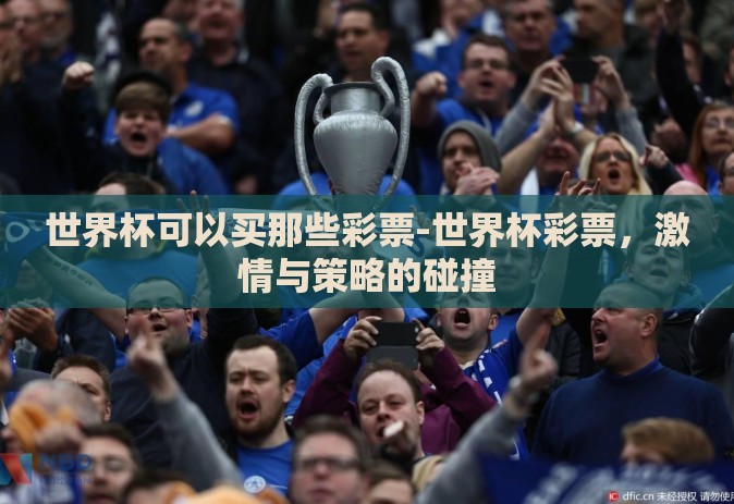 世界杯可以买那些彩票-世界杯彩票,激情与策略的碰撞 世界杯可以买那些彩票-世界杯彩票,激情与策略的碰撞