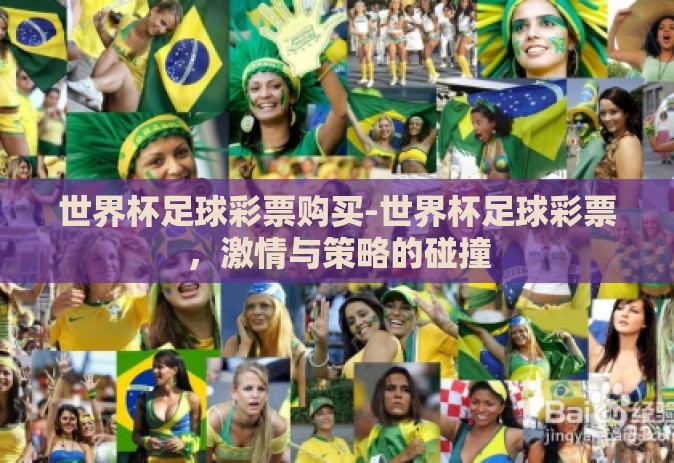 世界杯足球彩票购买-世界杯足球彩票，激情与策略的碰撞