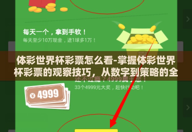 体彩世界杯彩票怎么看-掌握体彩世界杯彩票的观察技巧，从数字到策略的全面解析