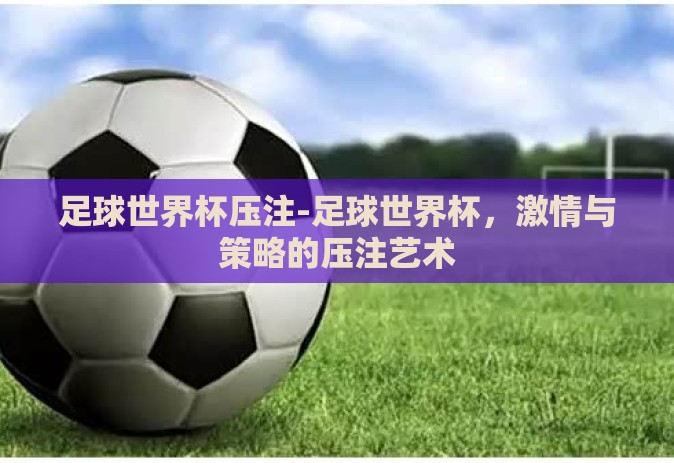 足球世界杯压注-足球世界杯，激情与策略的压注艺术