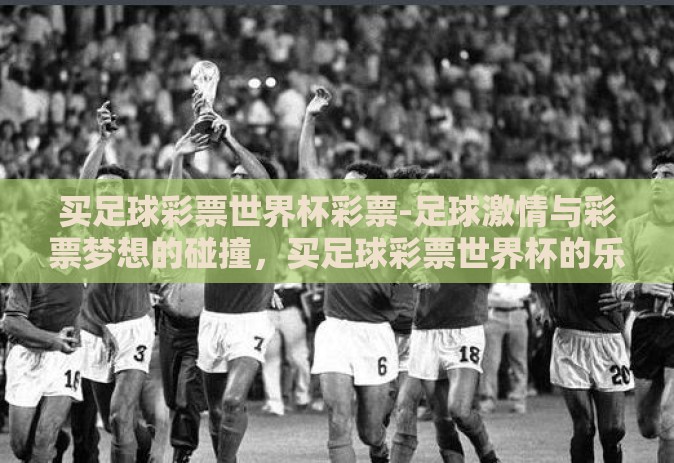 买足球彩票世界杯彩票-足球激情与彩票梦想的碰撞，买足球彩票世界杯的乐趣与挑战