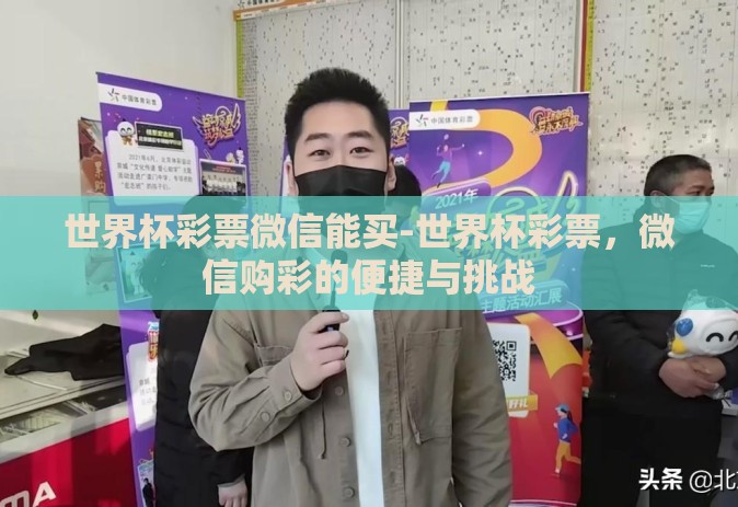 世界杯彩票微信能买-世界杯彩票，微信购彩的便捷与挑战