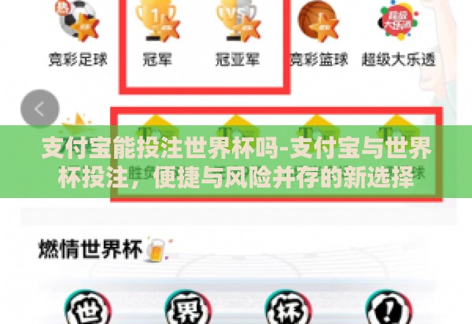 支付宝能投注世界杯吗-支付宝与世界杯投注，便捷与风险并存的新选择