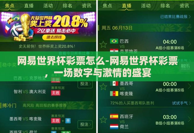 网易世界杯彩票怎么-网易世界杯彩票,一场数字与激情的盛宴 网易世界杯彩票怎么-网易世界杯彩票,一场数字与激情的盛宴