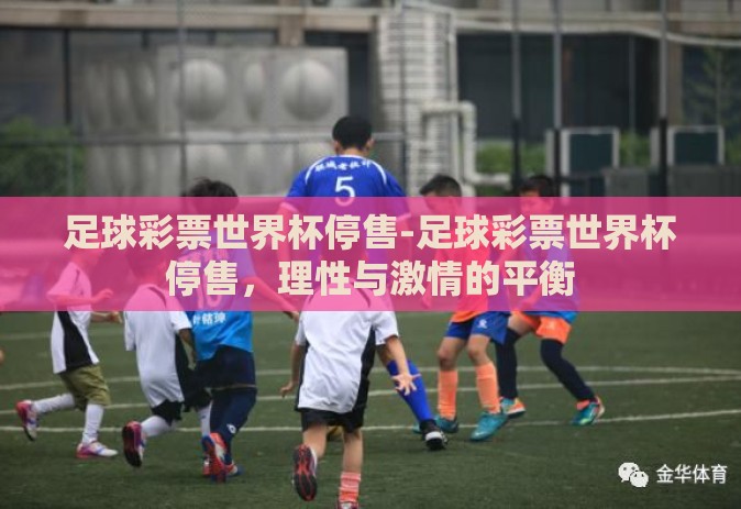 足球彩票世界杯停售-足球彩票世界杯停售，理性与激情的平衡