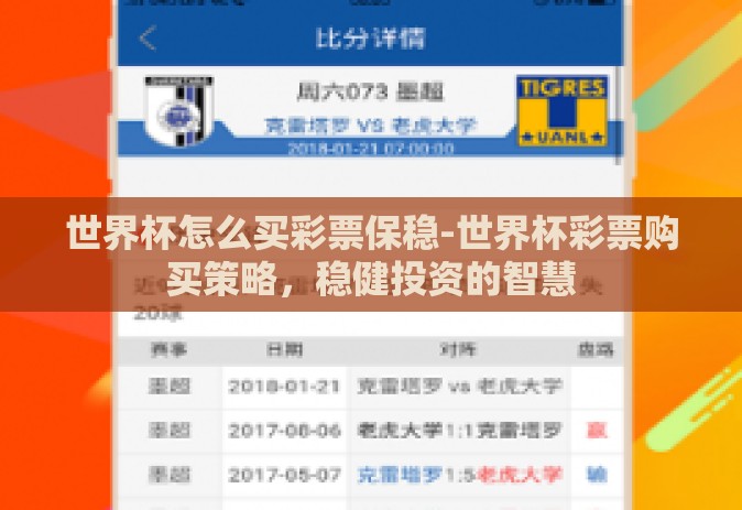 世界杯怎么买彩票保稳-世界杯彩票购买策略，稳健投资的智慧