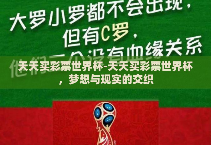 天天买彩票世界杯-天天买彩票世界杯，梦想与现实的交织