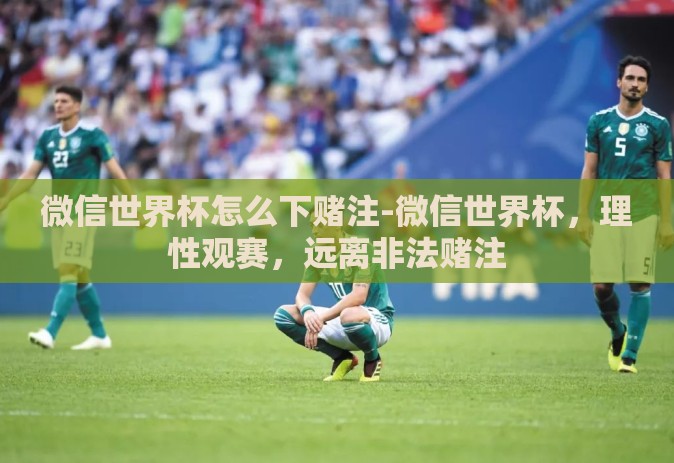 微信世界杯怎么下赌注-微信世界杯,理性观赛,远离非法赌注 微信世界杯怎么下赌注-微信世界杯,理性观赛,远离非法赌注