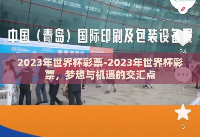 2023年世界杯彩票-2023年世界杯彩票，梦想与机遇的交汇点