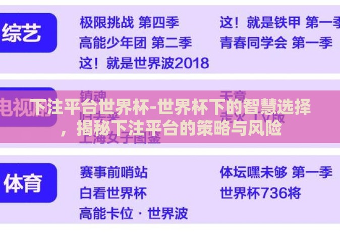下注平台世界杯-世界杯下的智慧选择，揭秘下注平台的策略与风险