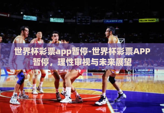 世界杯彩票app暂停-世界杯彩票APP暂停，理性审视与未来展望
