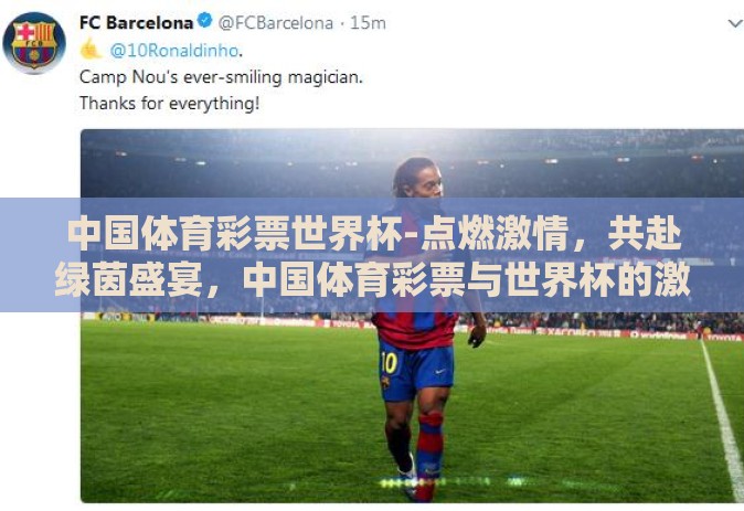 中国体育彩票世界杯-点燃激情，共赴绿茵盛宴，中国体育彩票与世界杯的激情碰撞