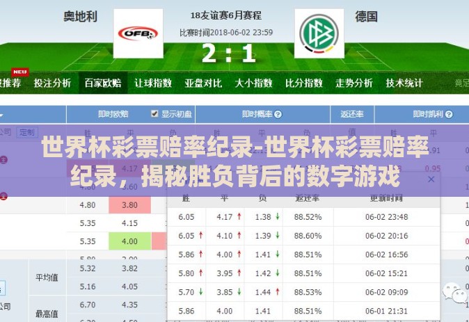 世界杯彩票赔率纪录-世界杯彩票赔率纪录，揭秘胜负背后的数字游戏