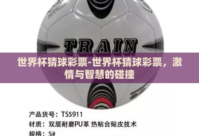 世界杯猜球彩票-世界杯猜球彩票，激情与智慧的碰撞