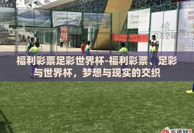 福利彩票足彩世界杯-福利彩票、足彩与世界杯，梦想与现实的交织