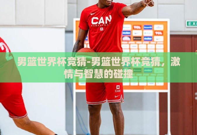 男篮世界杯竞猜-男篮世界杯竞猜，激情与智慧的碰撞