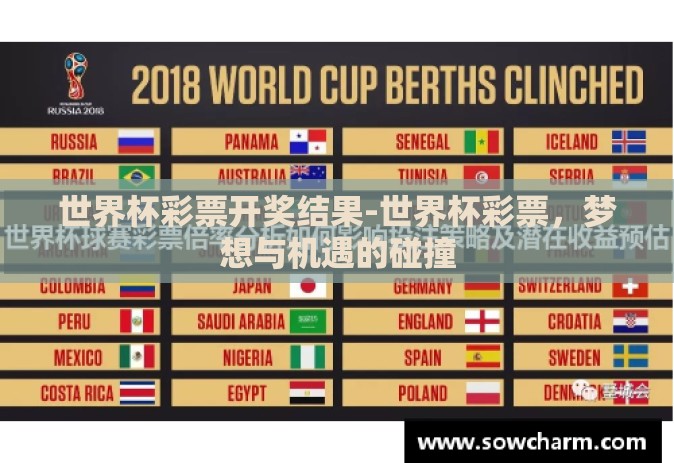 世界杯彩票开奖结果-世界杯彩票，梦想与机遇的碰撞