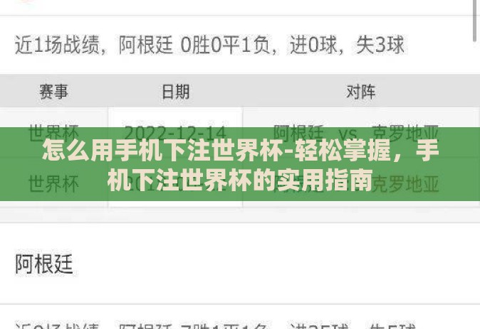 怎么用手机下注世界杯-轻松掌握，手机下注世界杯的实用指南