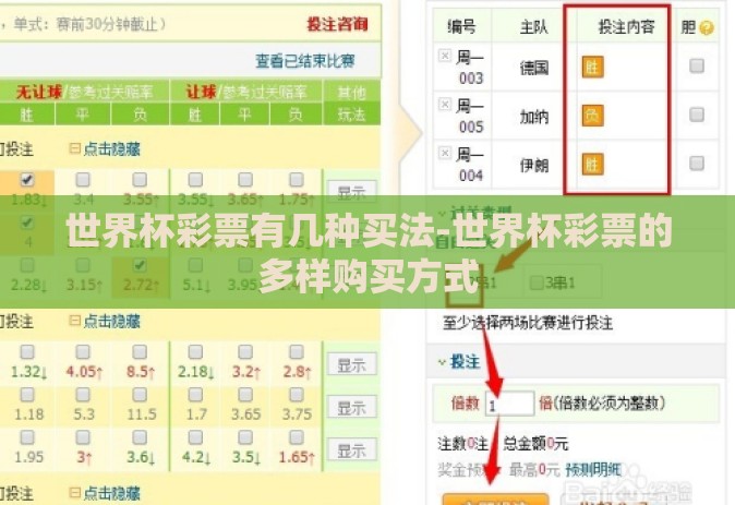 世界杯彩票有几种买法-世界杯彩票的多样购买方式