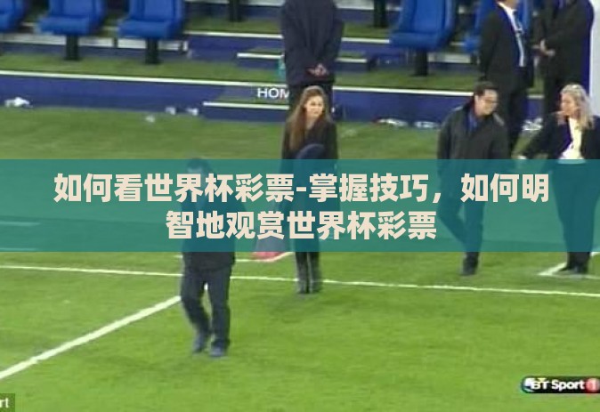 如何看世界杯彩票-掌握技巧,如何明智地观赏世界杯彩票 如何看世界杯彩票-掌握技巧,如何明智地观赏世界杯彩票