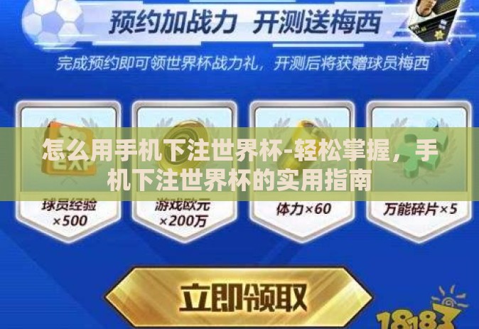 怎么用手机下注世界杯-轻松掌握，手机下注世界杯的实用指南