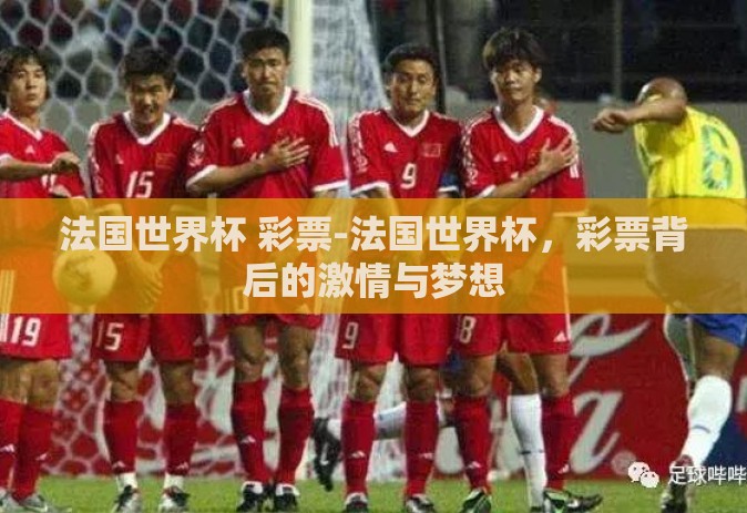法国世界杯 彩票-法国世界杯，彩票背后的激情与梦想