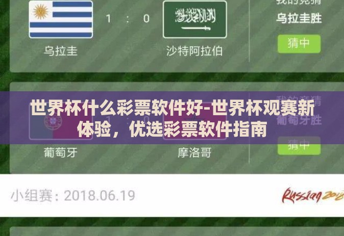 世界杯什么彩票软件好-世界杯观赛新体验，优选彩票软件指南