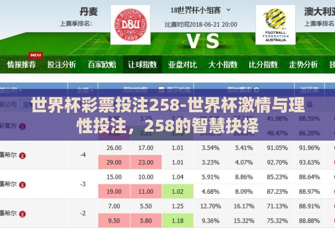 世界杯彩票投注258-世界杯激情与理性投注，258的智慧抉择