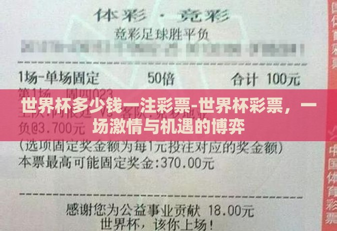 世界杯多少钱一注彩票-世界杯彩票，一场激情与机遇的博弈