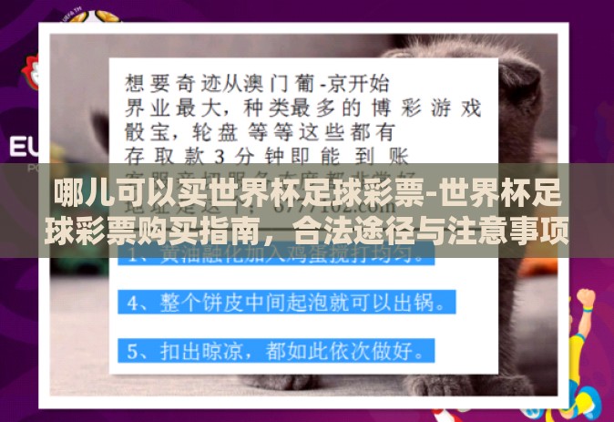 哪儿可以买世界杯足球彩票-世界杯足球彩票购买指南，合法途径与注意事项
