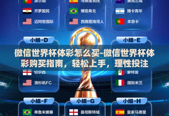 微信世界杯体彩怎么买-微信世界杯体彩购买指南，轻松上手，理性投注