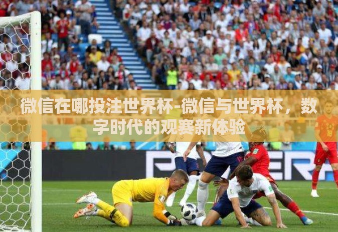 微信在哪投注世界杯-微信与世界杯，数字时代的观赛新体验