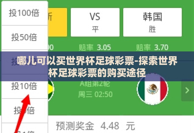 哪儿可以买世界杯足球彩票-探索世界杯足球彩票的购买途径