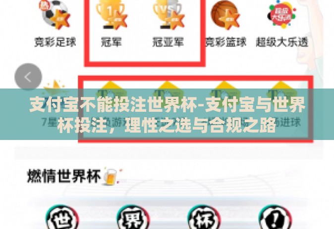 支付宝不能投注世界杯-支付宝与世界杯投注，理性之选与合规之路