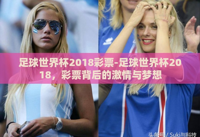 足球世界杯2018彩票-足球世界杯2018，彩票背后的激情与梦想