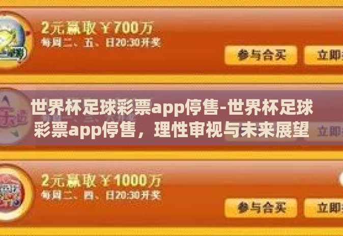 世界杯足球彩票app停售-世界杯足球彩票app停售，理性审视与未来展望