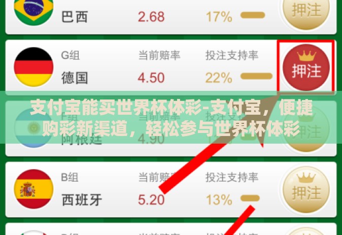 支付宝能买世界杯体彩-支付宝，便捷购彩新渠道，轻松参与世界杯体彩