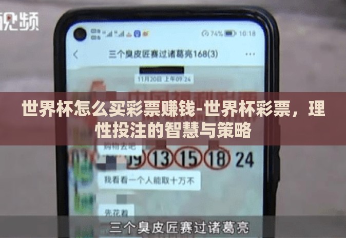 世界杯怎么买彩票赚钱-世界杯彩票，理性投注的智慧与策略