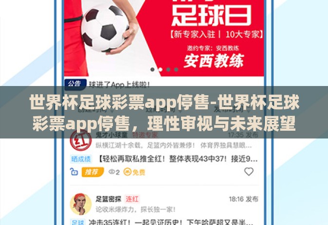 世界杯足球彩票app停售-世界杯足球彩票app停售，理性审视与未来展望
