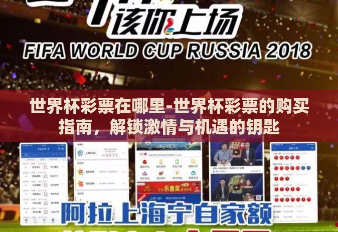世界杯彩票在哪里-世界杯彩票的购买指南，解锁激情与机遇的钥匙