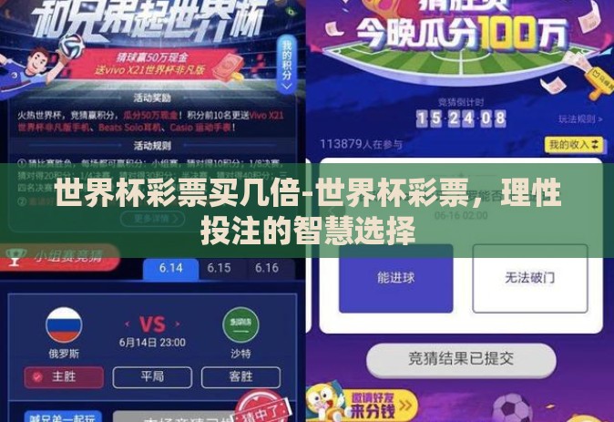 世界杯彩票买几倍-世界杯彩票，理性投注的智慧选择