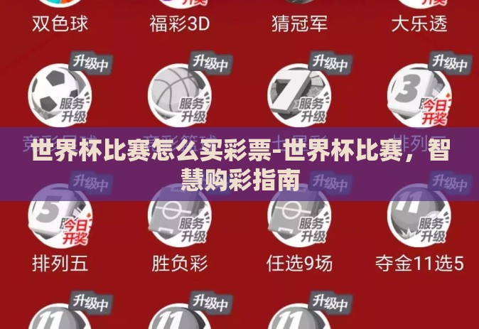 世界杯比赛怎么买彩票-世界杯比赛，智慧购彩指南