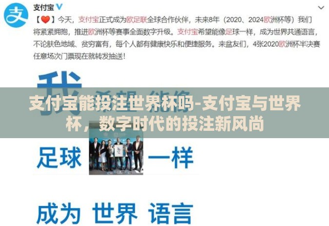 支付宝能投注世界杯吗-支付宝与世界杯，数字时代的投注新风尚