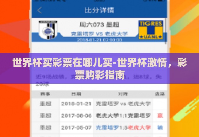 世界杯买彩票在哪儿买-世界杯激情，彩票购彩指南